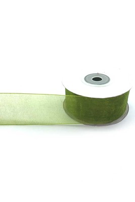  - ORGANZE RIBBON 3CM OIL GREEN 507